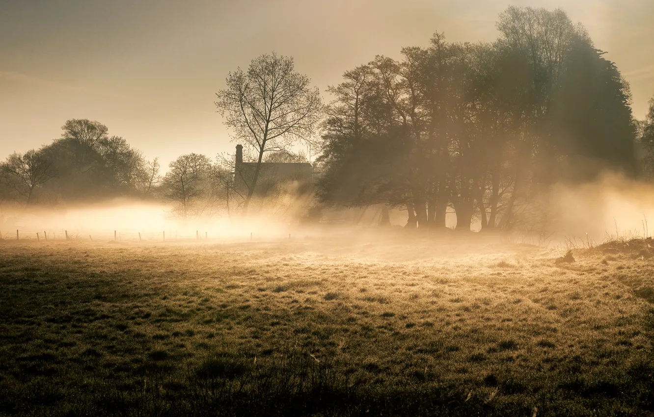 Photo wallpaper fog, morning, Suffolk Dawn
