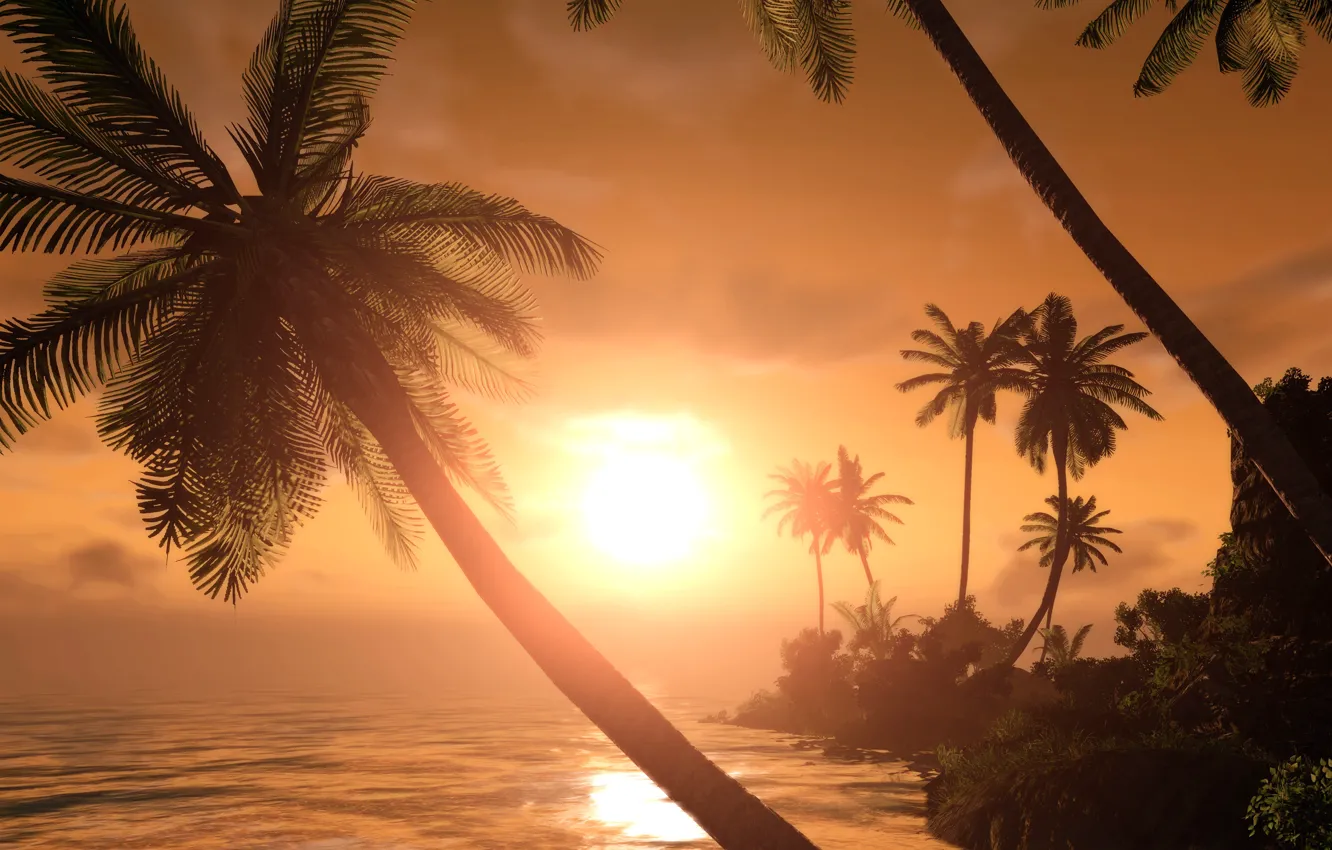 Photo wallpaper sunset, tropics, palm trees, silhouettes