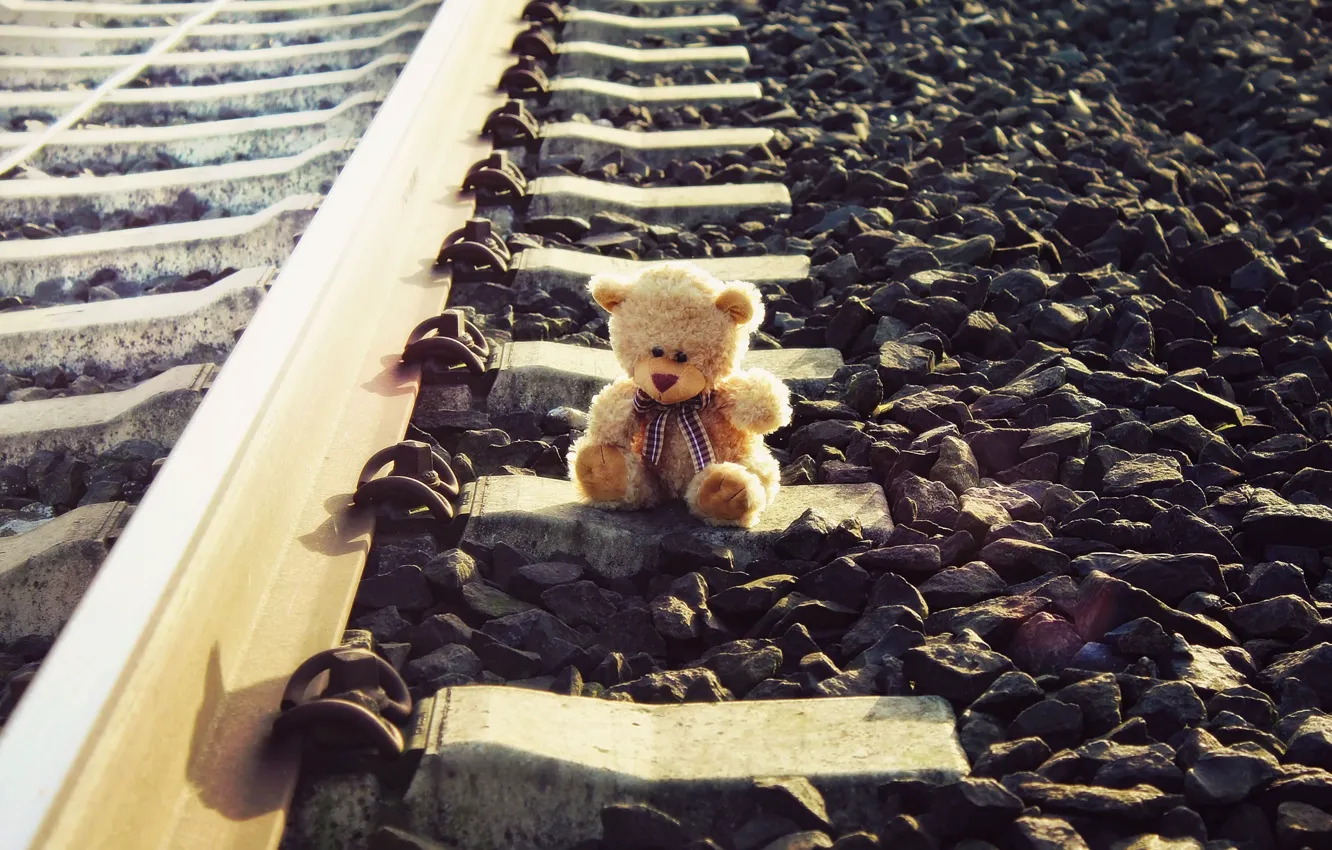 Photo wallpaper sadness, toy, bear, railroad, forgot