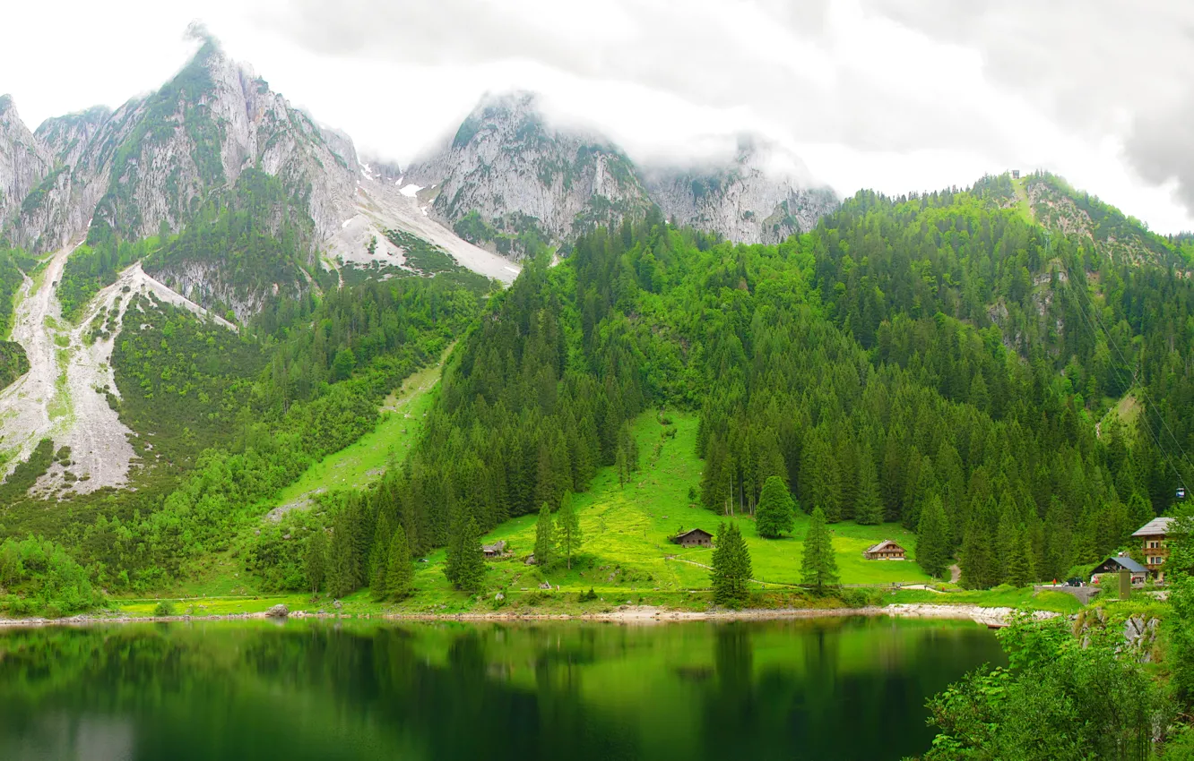 Photo wallpaper forest, mountains, lake, Austria, lake Gosausee