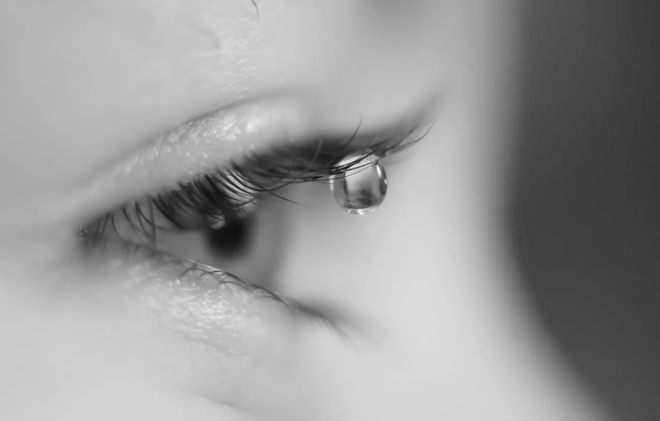 Photo wallpaper macro, mood, tears