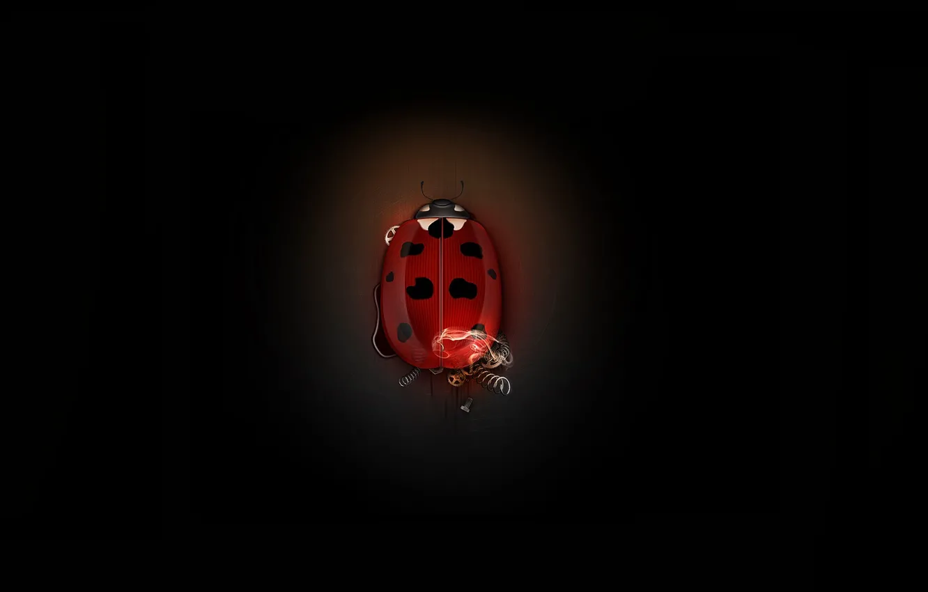 Photo wallpaper mechanism, ladybug, beetle, minimalism, gear