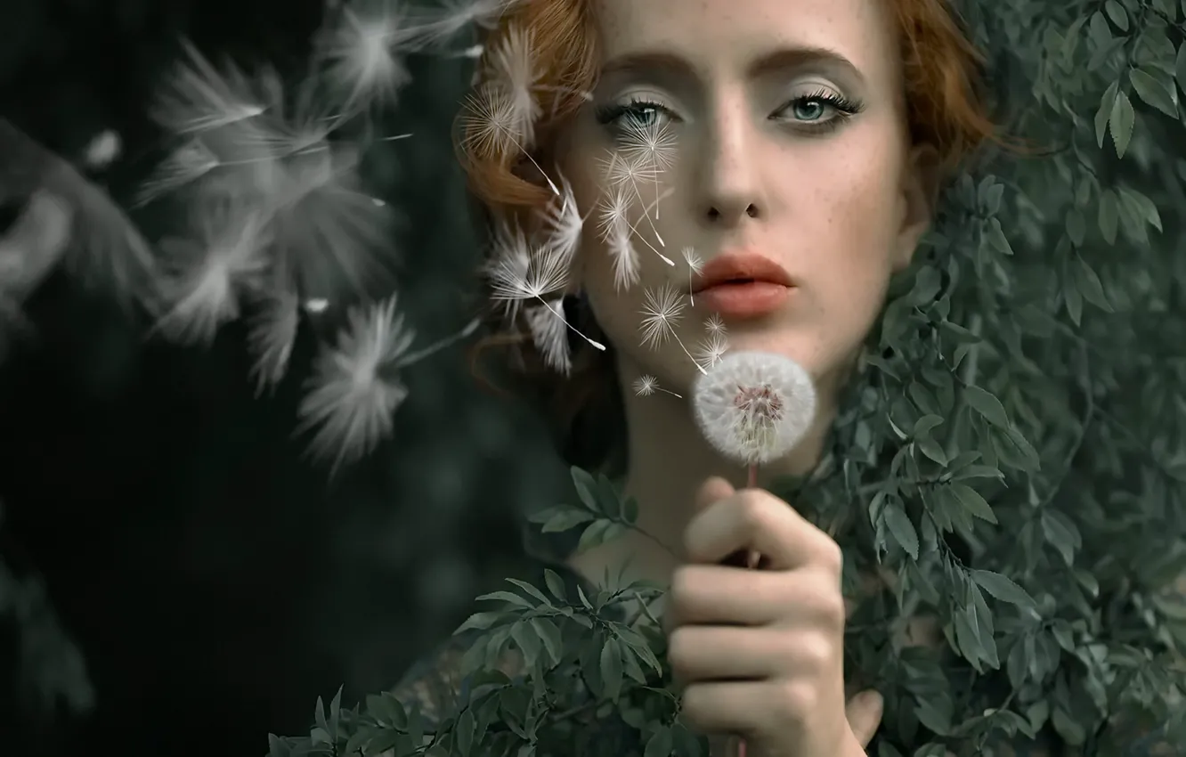 Photo wallpaper girl, nature, dandelion