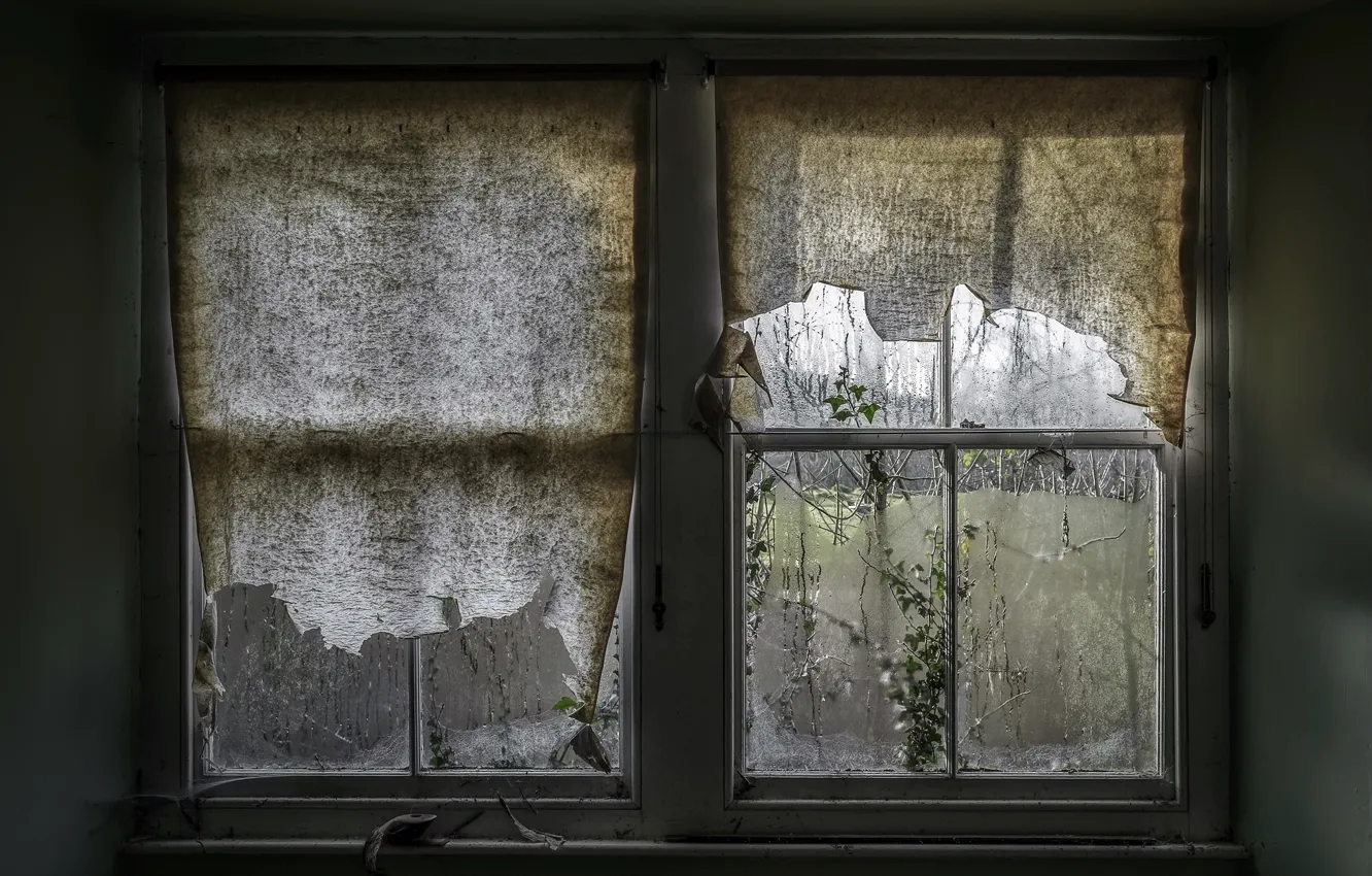 Photo wallpaper house, window, curtains, naturalism