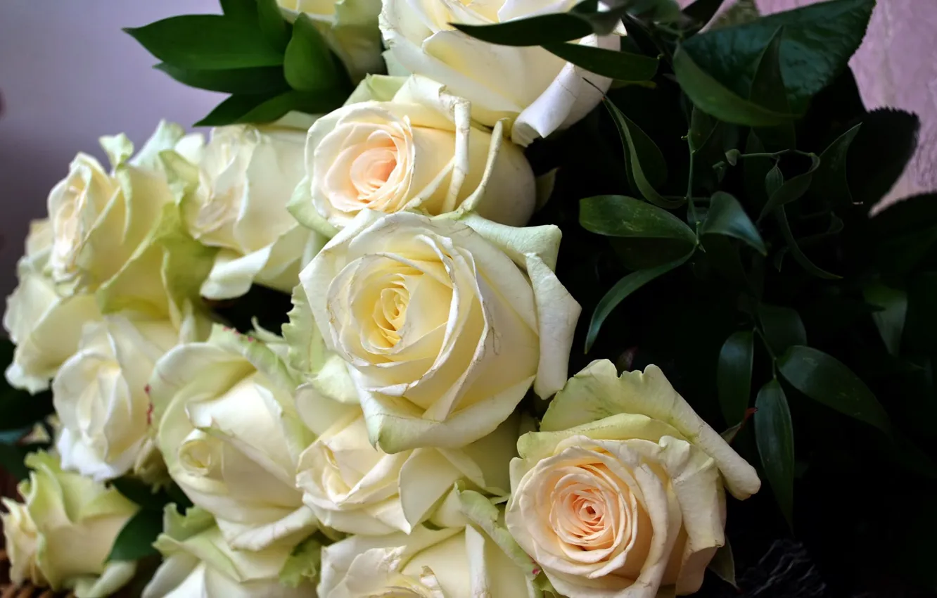 Photo wallpaper roses, bouquet, white roses