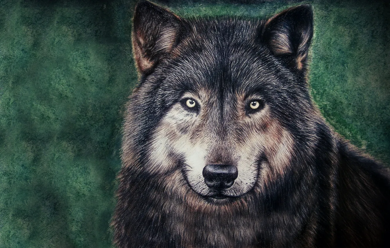 Photo wallpaper face, wolf, painting, wolf