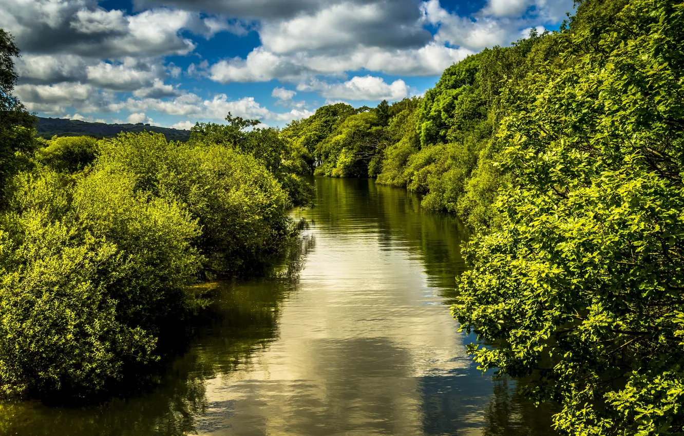 Photo wallpaper lake, Park, UK, Llanberis Lake, National Slate Museum