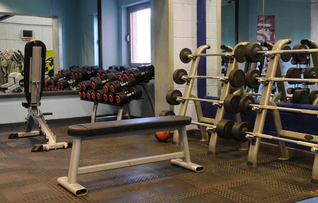 Photo wallpaper Bodybuilding, Gym, Powerlifting