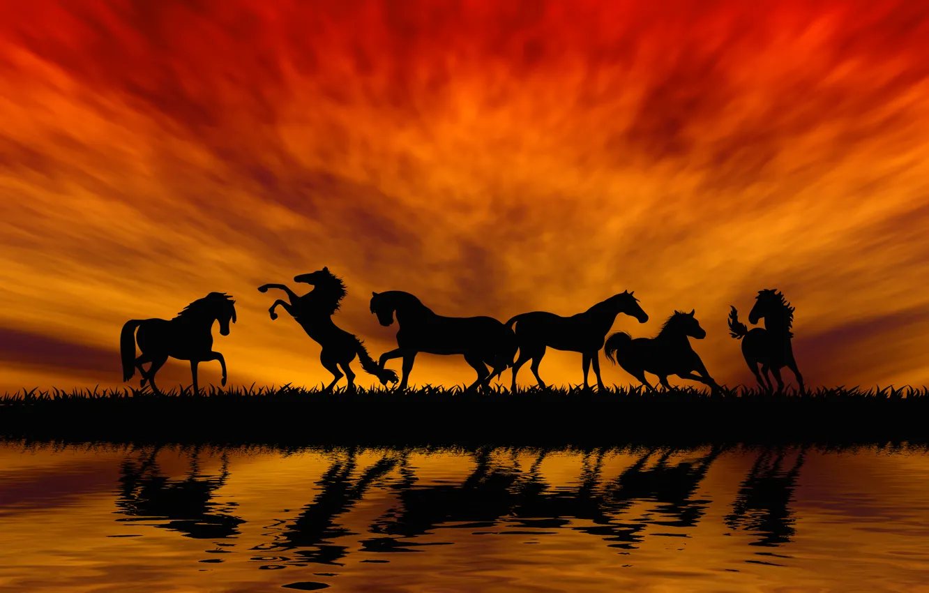 Photo wallpaper the sky, grass, water, reflection, horse, glow, silhouettes