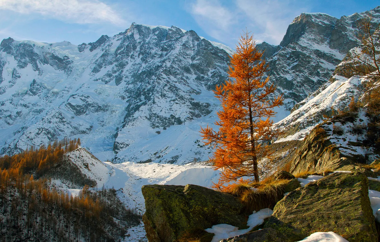 Photo wallpaper autumn, the sky, snow, mountains, stones, tree, rocks