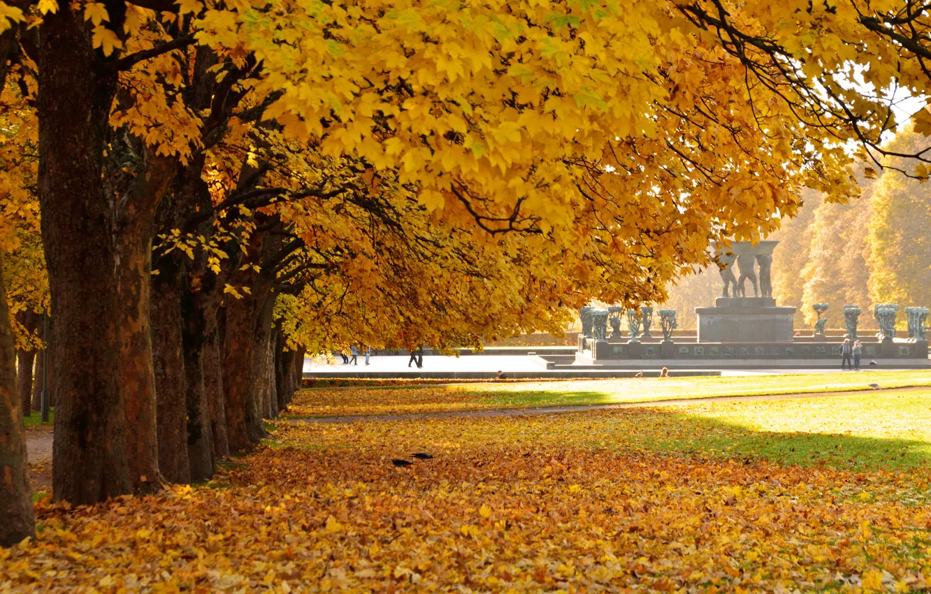 Photo wallpaper autumn, leaves, trees, yellow, nature, Park, a number, falling leaves