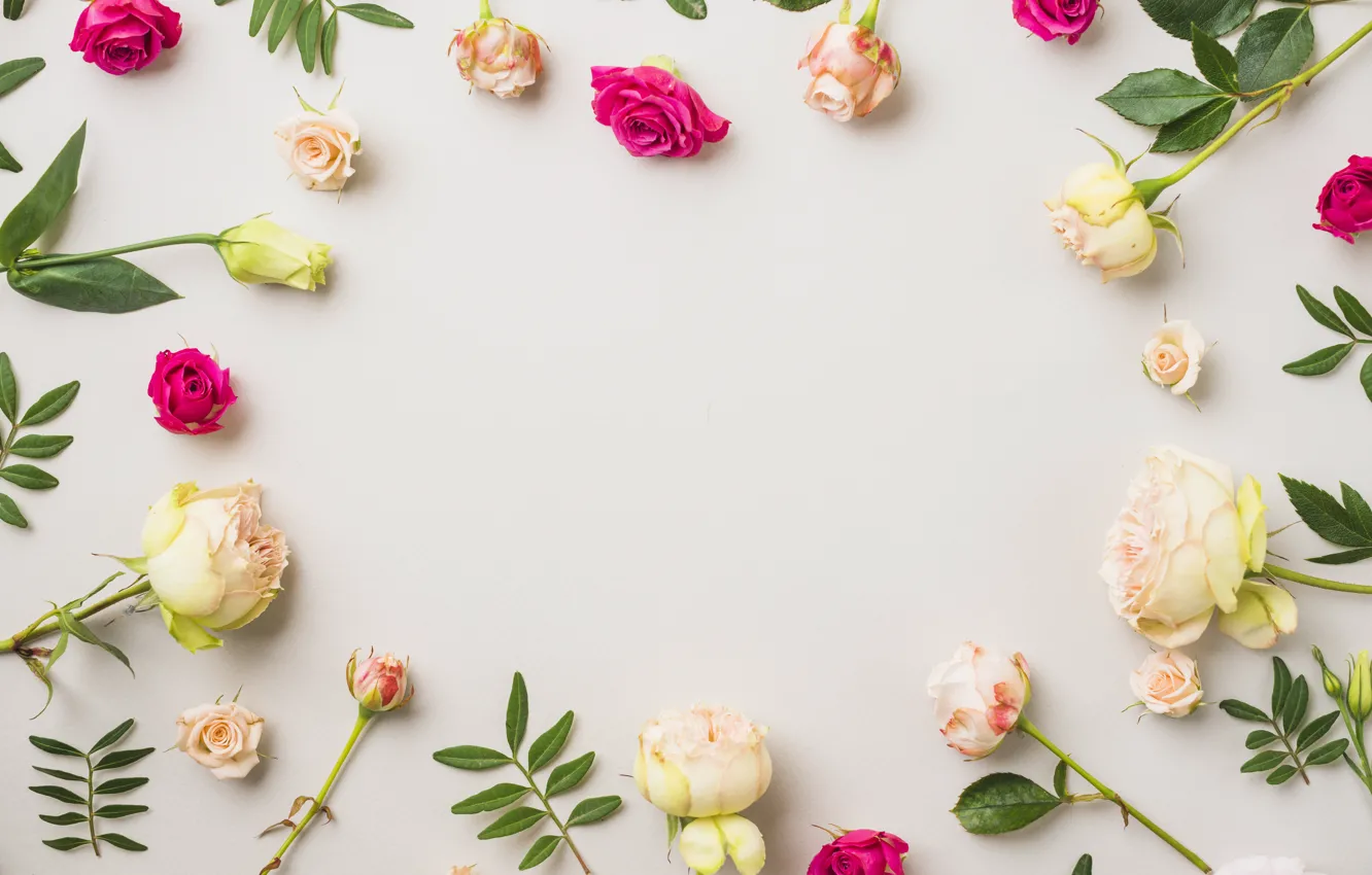 Photo wallpaper leaves, flowers, background, roses