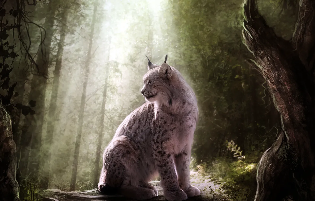 Photo wallpaper forest, cat, light, predator, lynx, wild