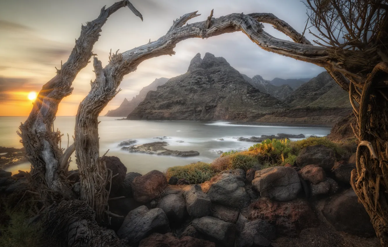 Photo wallpaper water, mountains, stick