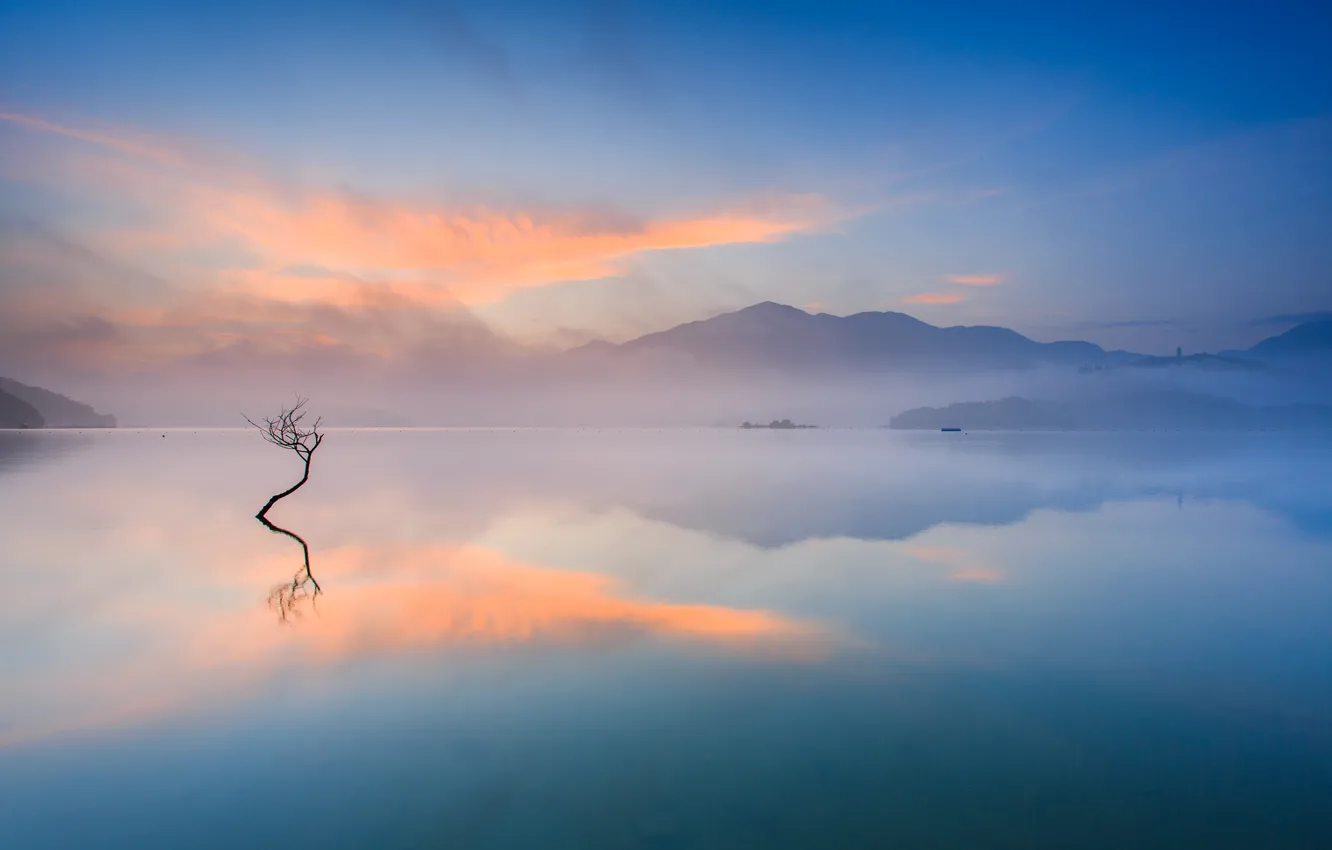 Photo wallpaper trees, mountains, fog, lake, morning, pair
