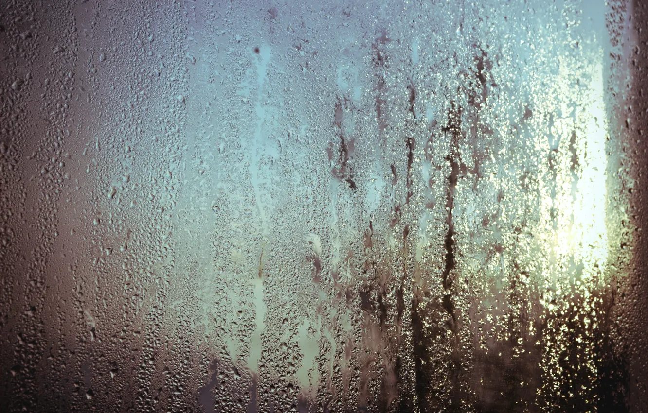 Photo wallpaper water, drops, spring, window