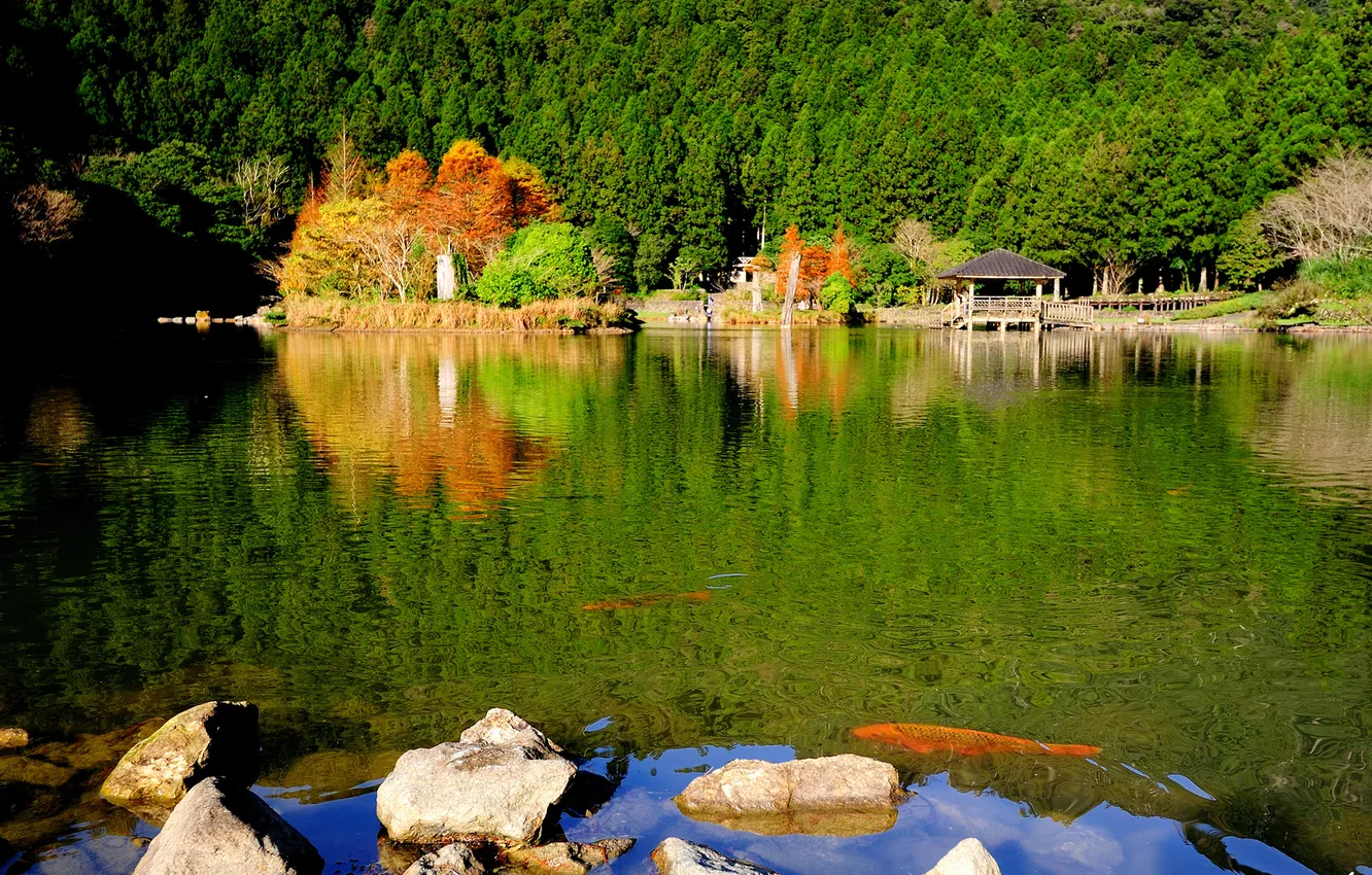 Photo wallpaper forest, nature, lake, Park, stones, gazebo