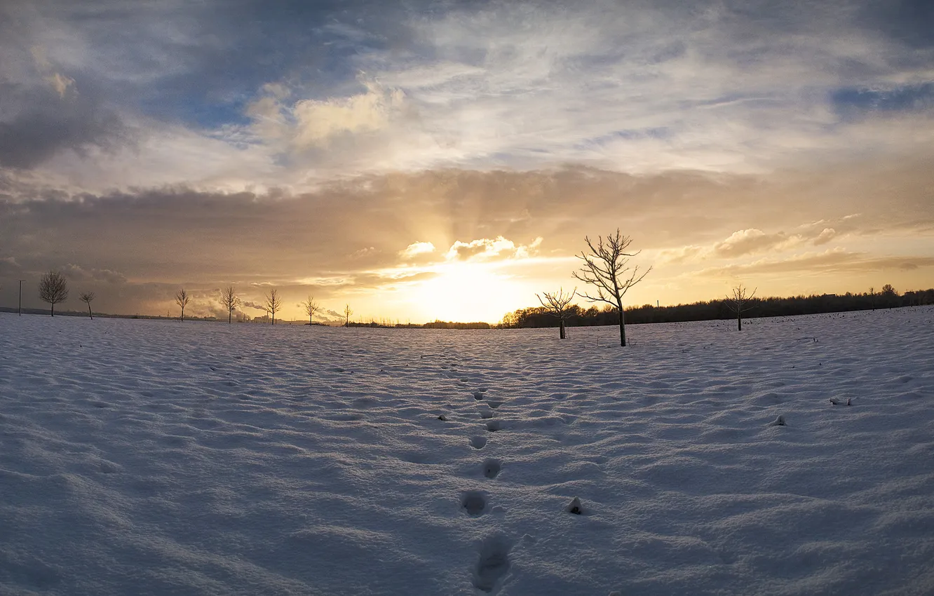 Photo wallpaper winter, the sky, traces