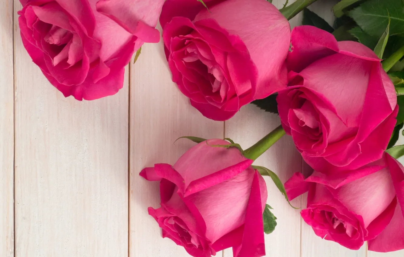 Photo wallpaper flowers, roses, bouquet, pink, buds, pink, flowers, roses