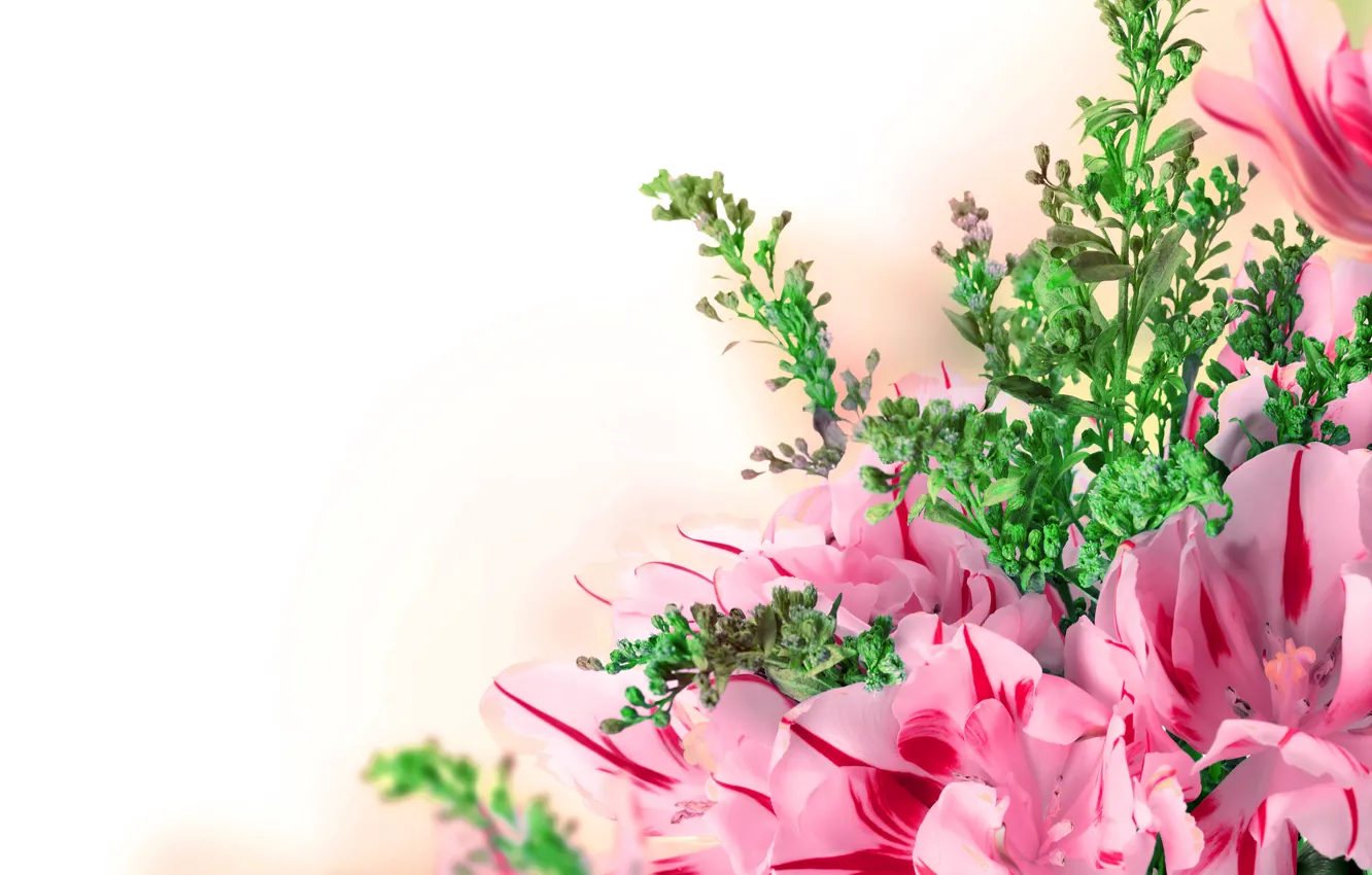 Photo wallpaper flowers, background, tulips, flowers, tulips