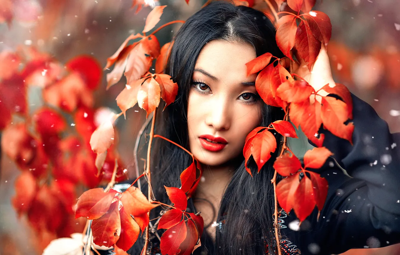 Photo wallpaper leaves, snow, makeup, Alessandro Di Cicco, Huan