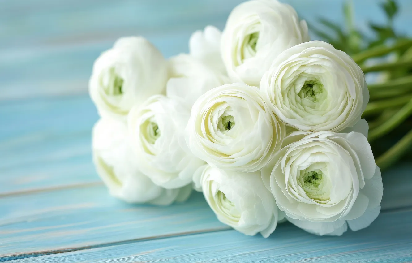 Photo wallpaper flowers, Board, bouquet, white, blue background, Ranunculus, AI art, neural network