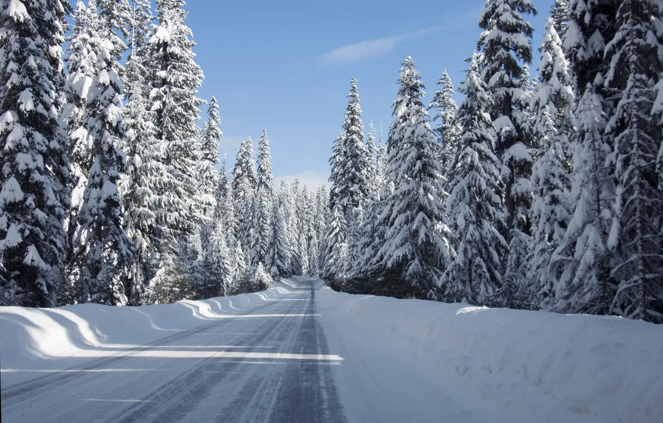 Photo wallpaper winter, road, snow, landscape, road, landscape, winter, snow