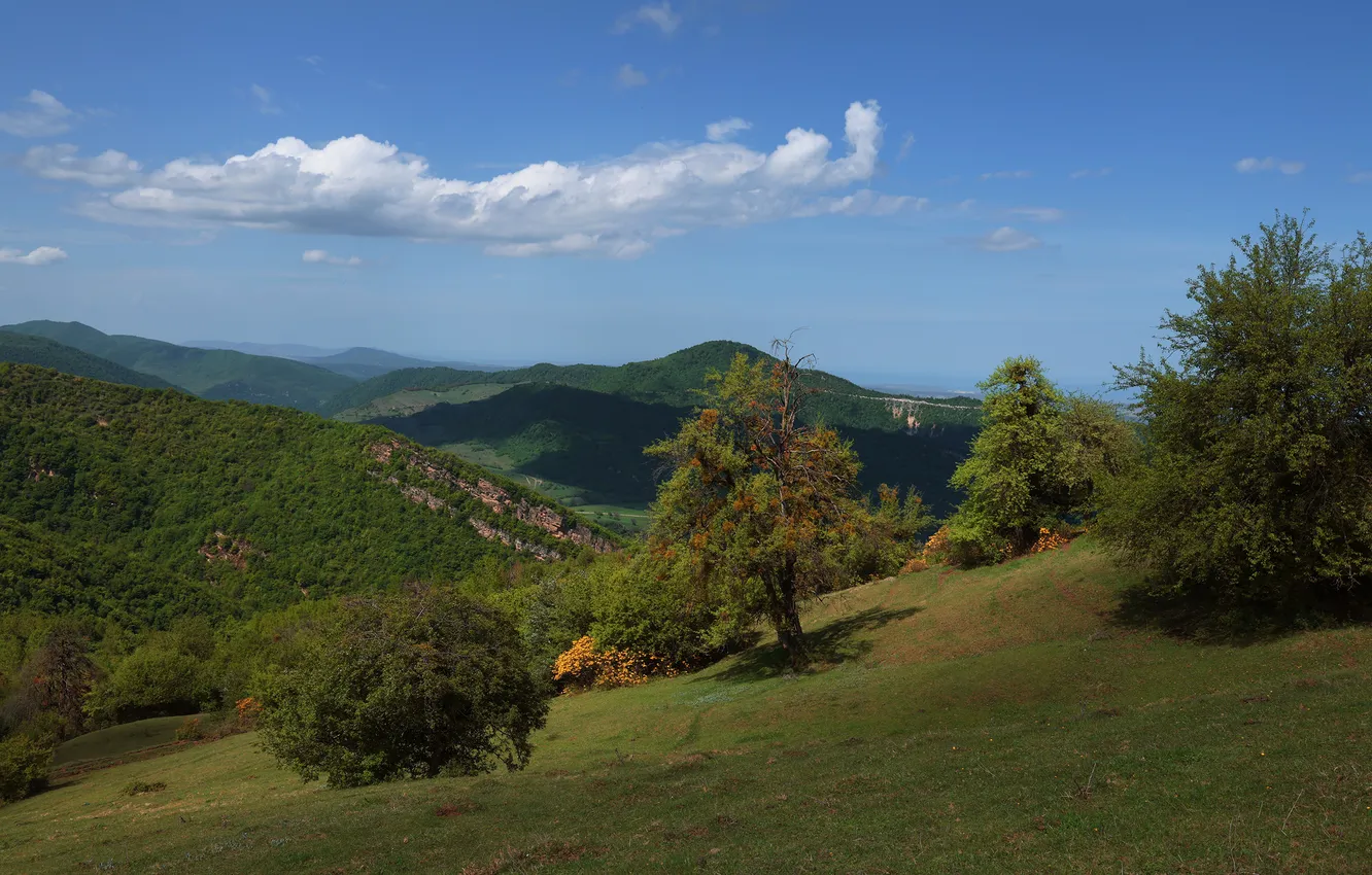 Photo wallpaper clouds, trees, space, Mountain landscape, Magov Marat