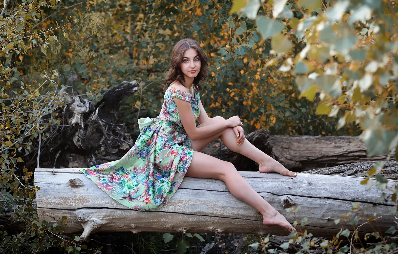 Photo wallpaper look, foliage, cute girl, slender legs, Murat Kuzhakhmetov, Poas, sitting on a tree