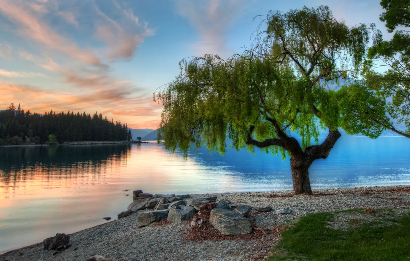 Photo wallpaper sunset, lake, tree, New Zealand