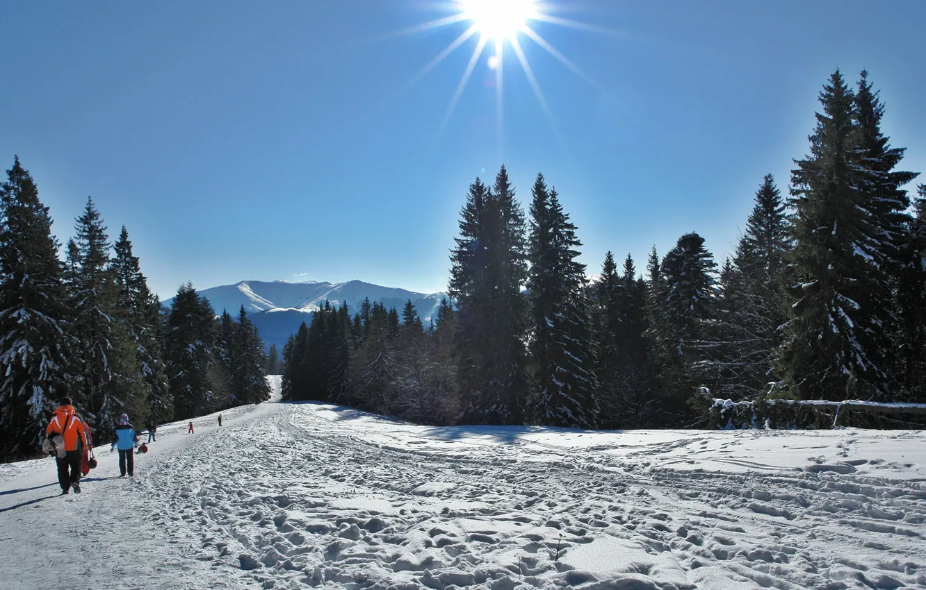 Photo wallpaper winter, snow, cold