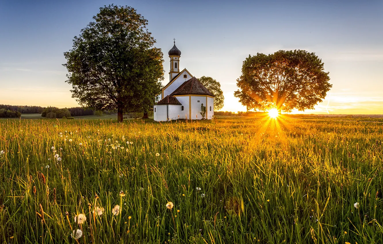 Photo wallpaper road, field, summer, the sky, grass, the sun, rays, light