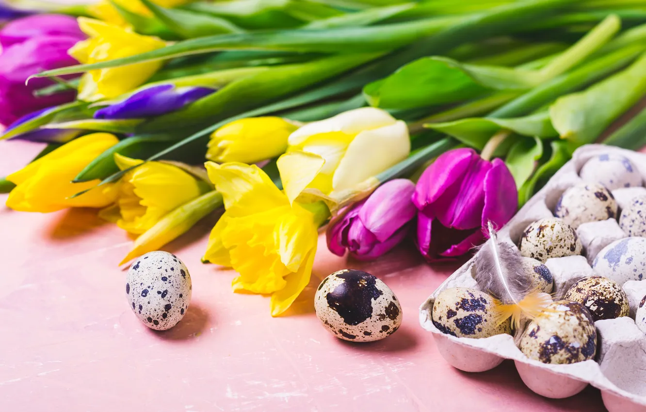 Photo wallpaper flowers, eggs, colorful, Easter, tulips, flowers, tulips, Easter