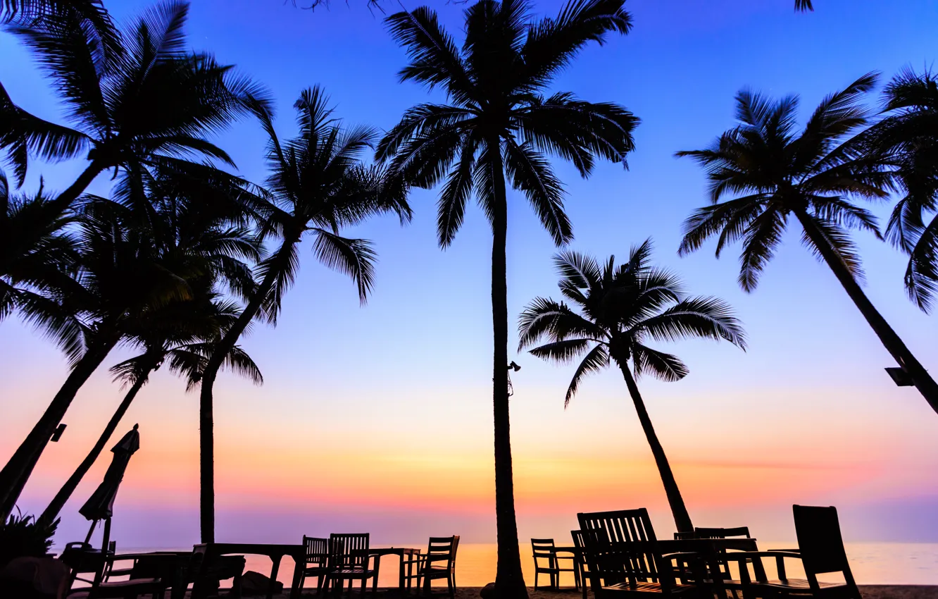 Photo wallpaper sea, beach, summer, sunset, palm trees, shore, silhouette, summer