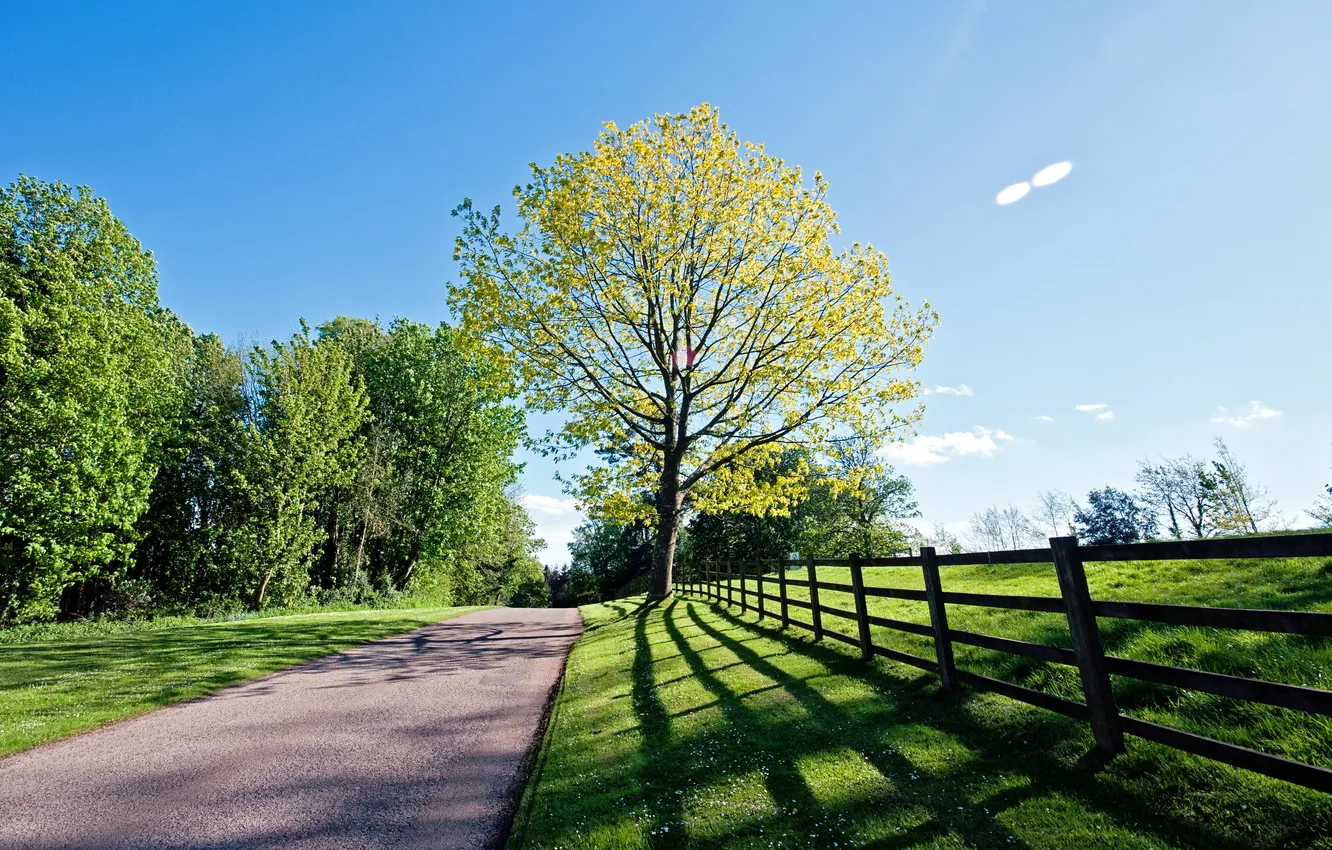 Photo wallpaper road, trees, landscape, the fence
