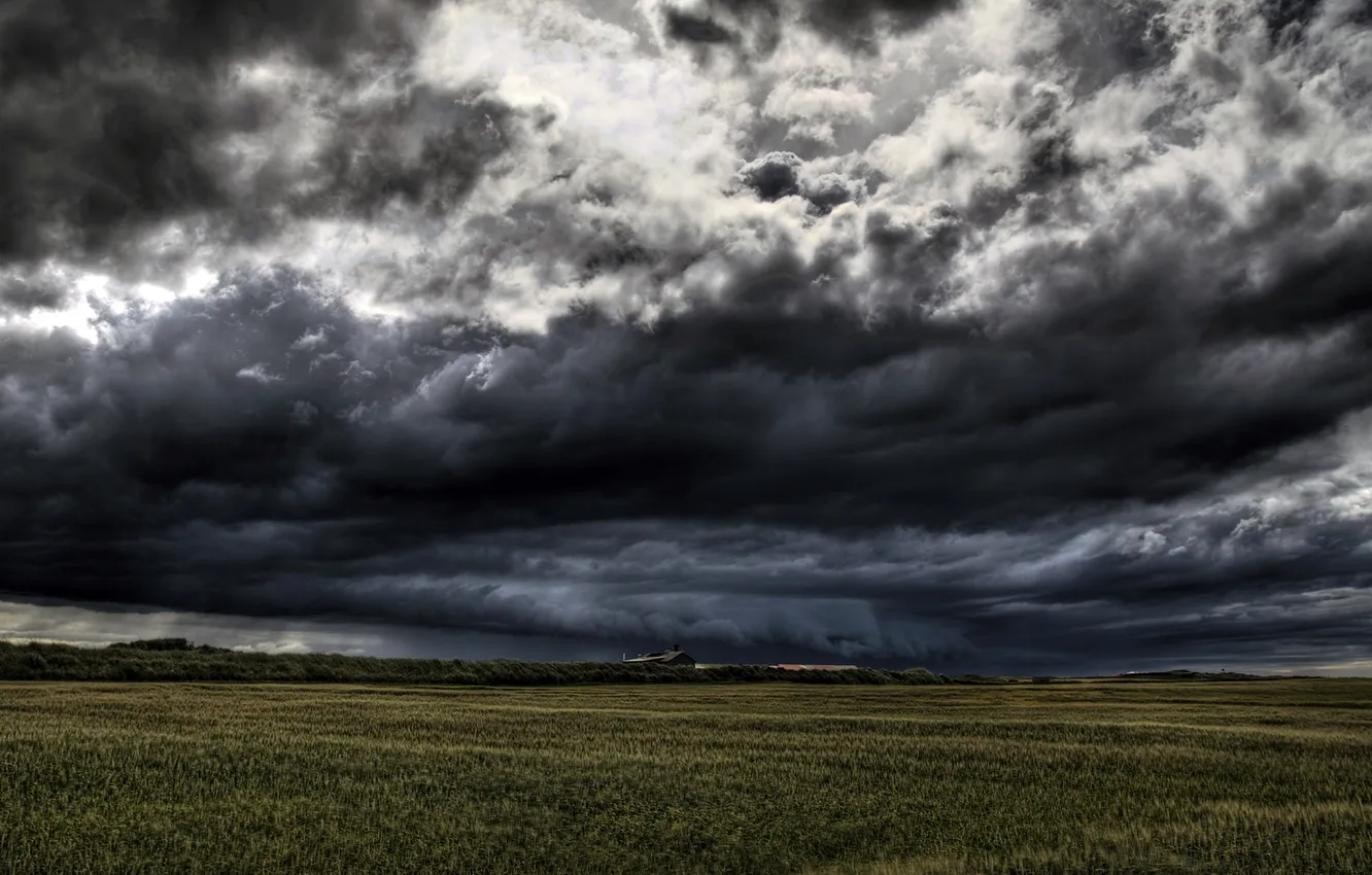 Photo wallpaper field, the sky, clouds