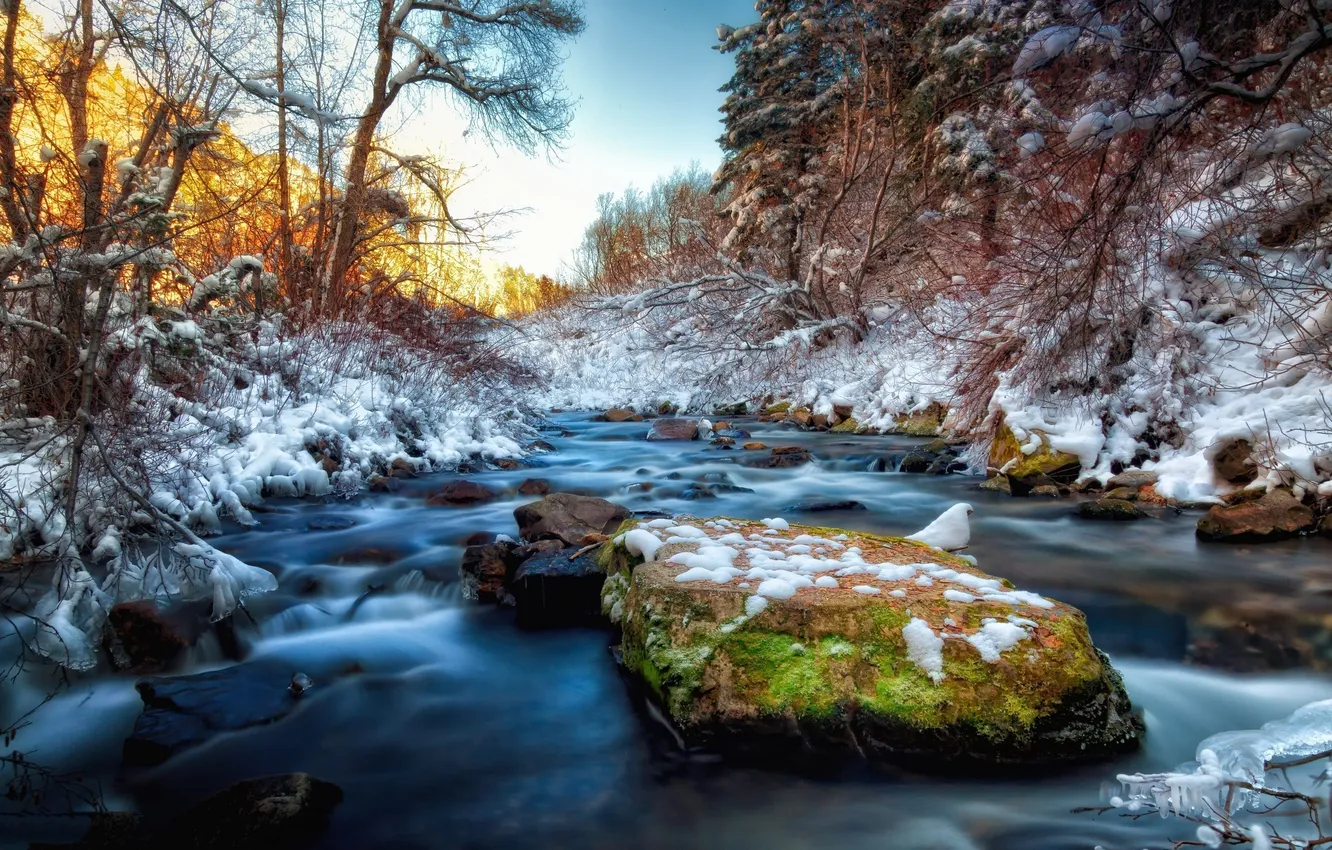Photo wallpaper forest, the sky, snow, trees, sunset, mountains, river, stones