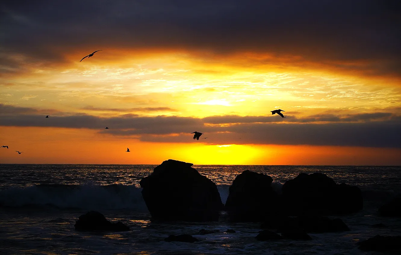 Photo wallpaper sea, wave, beach, clouds, stone, sunrise, pelicans, the sky is yellow