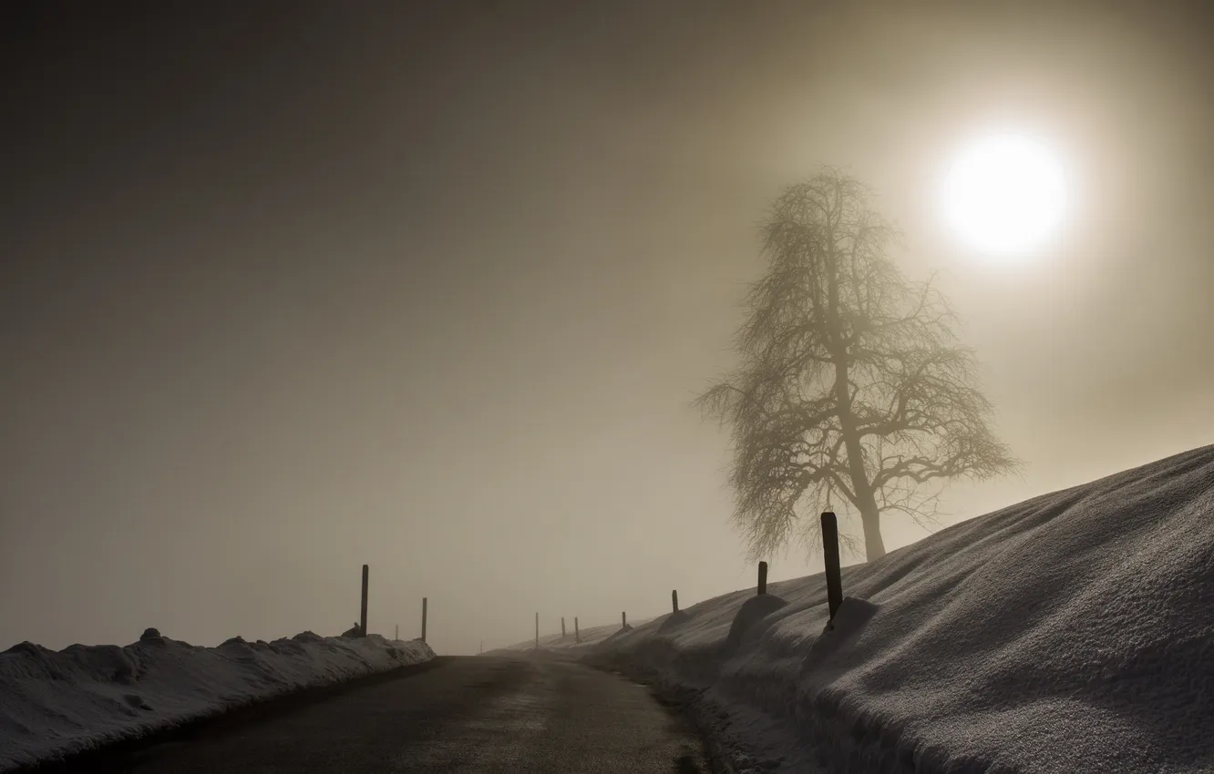 Photo wallpaper winter, road, trees, landscape, nature, fog, the fence, morning