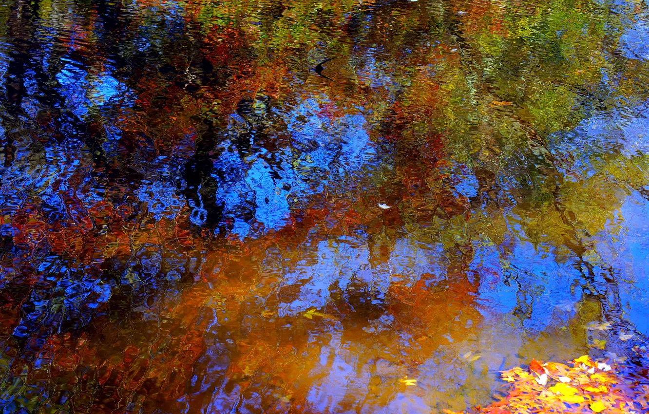Photo wallpaper water, reflection, ruffle