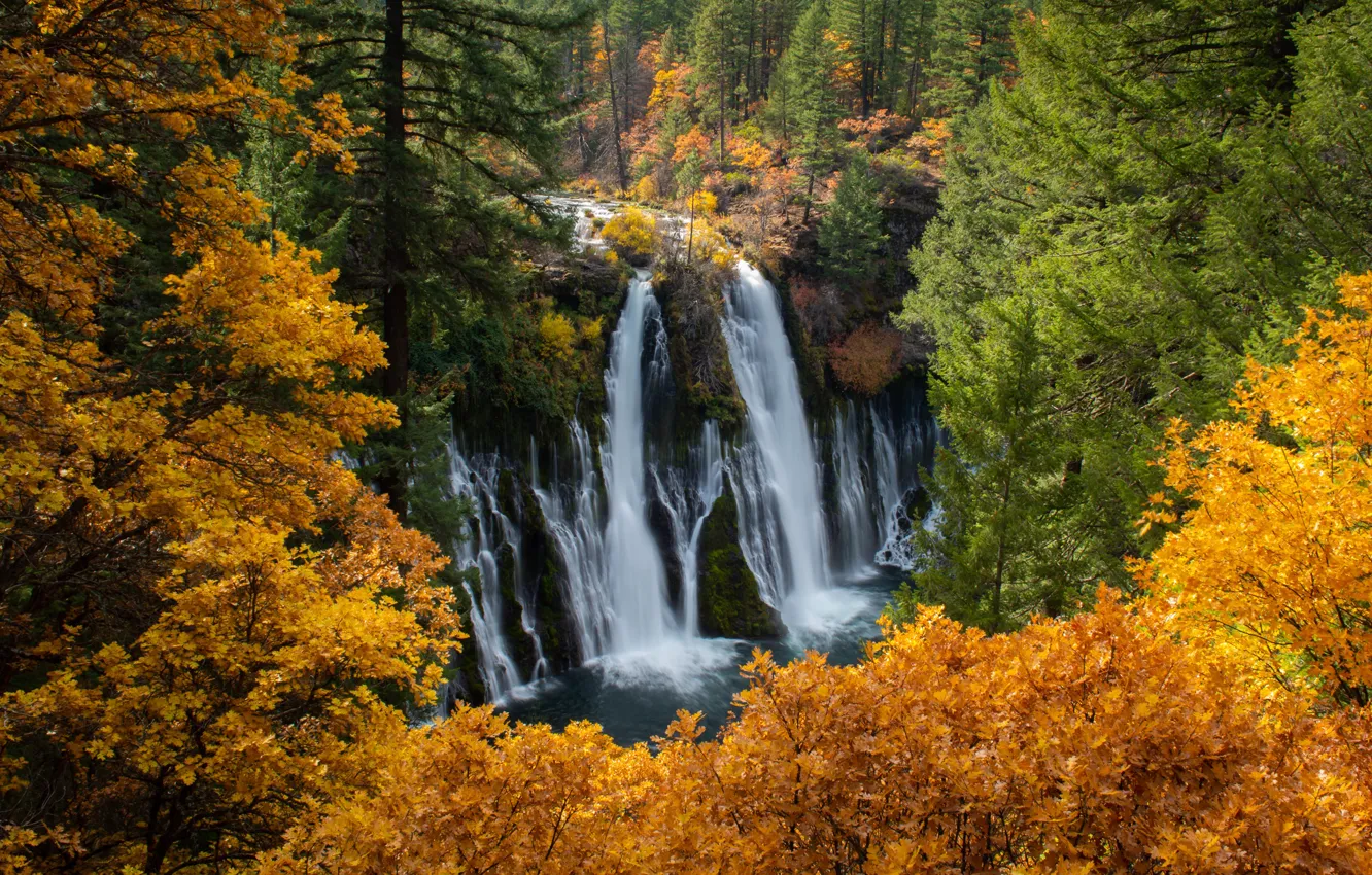 Photo wallpaper autumn, forest, trees, CA, waterfalls, cascade, California, Burney Falls