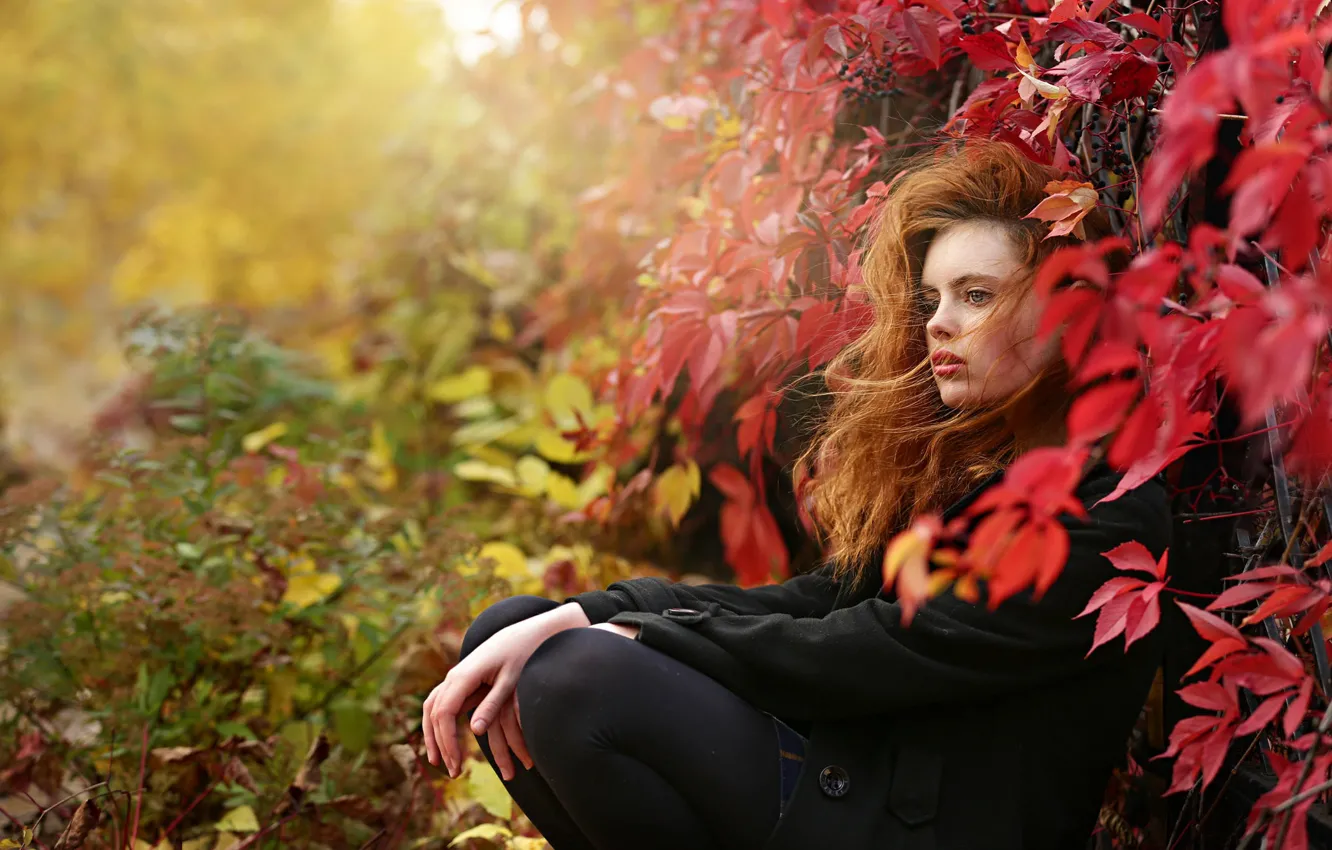 Photo wallpaper autumn, leaves, girl, branches, nature, red, coat, curls