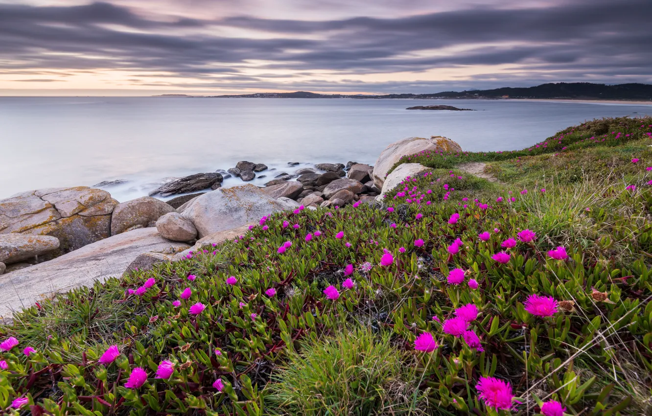 Photo wallpaper sea, the sky, clouds, flowers, mountains, stones, hills, shore
