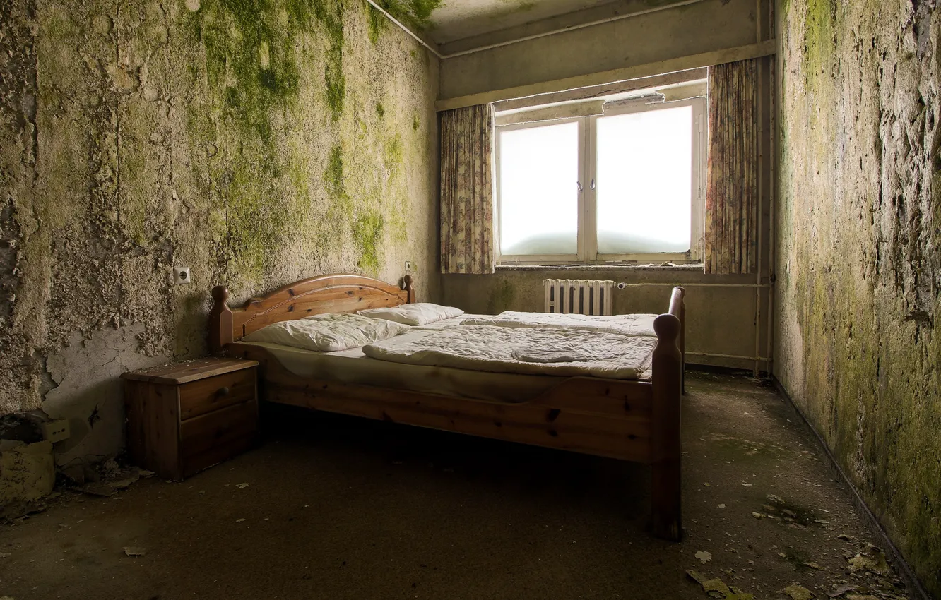 Photo wallpaper room, bed, window