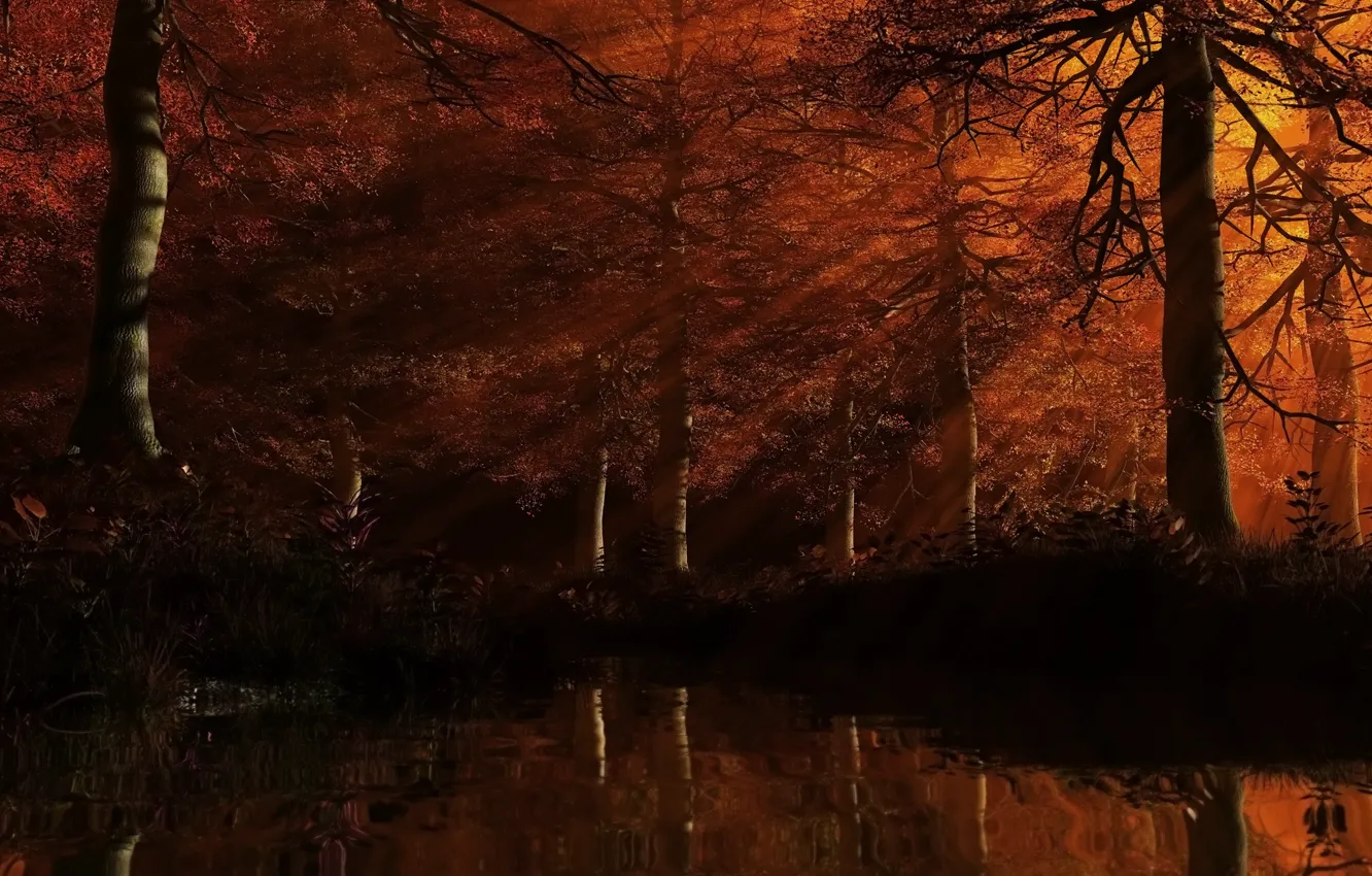 Photo wallpaper forest, leaves, water, rays, trees, red