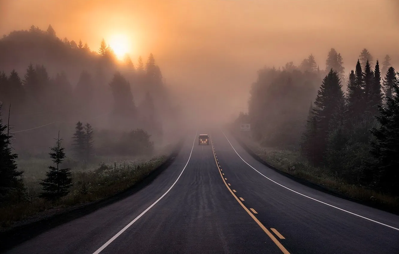 Photo wallpaper road, forest, the sky, the sun, trees, landscape, sunset, nature