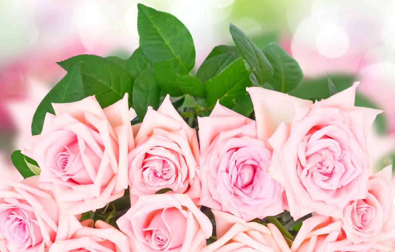 Photo wallpaper roses, bouquet, pink, flowers, roses, pink roses