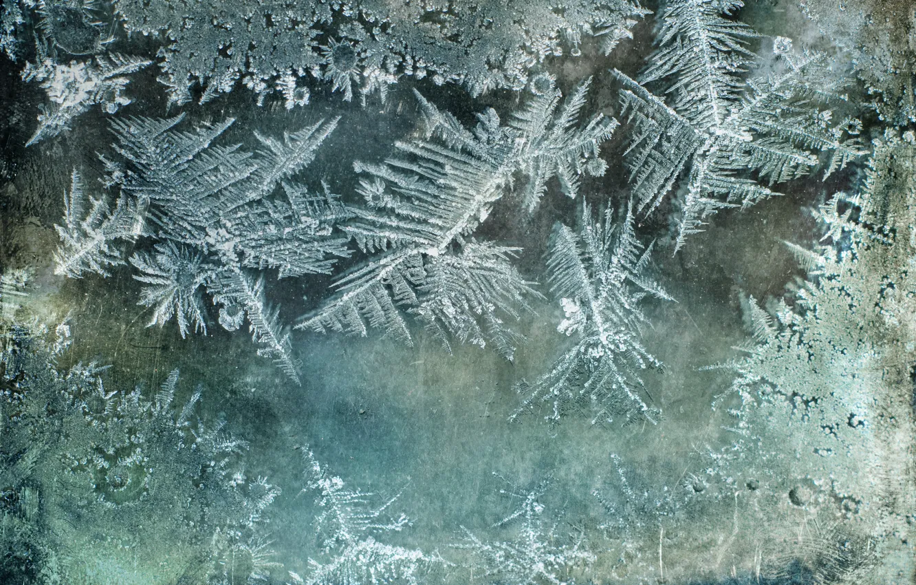 Photo wallpaper frost, glass, mist