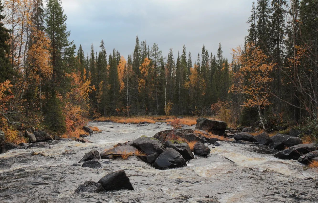 Photo wallpaper autumn, water, stones