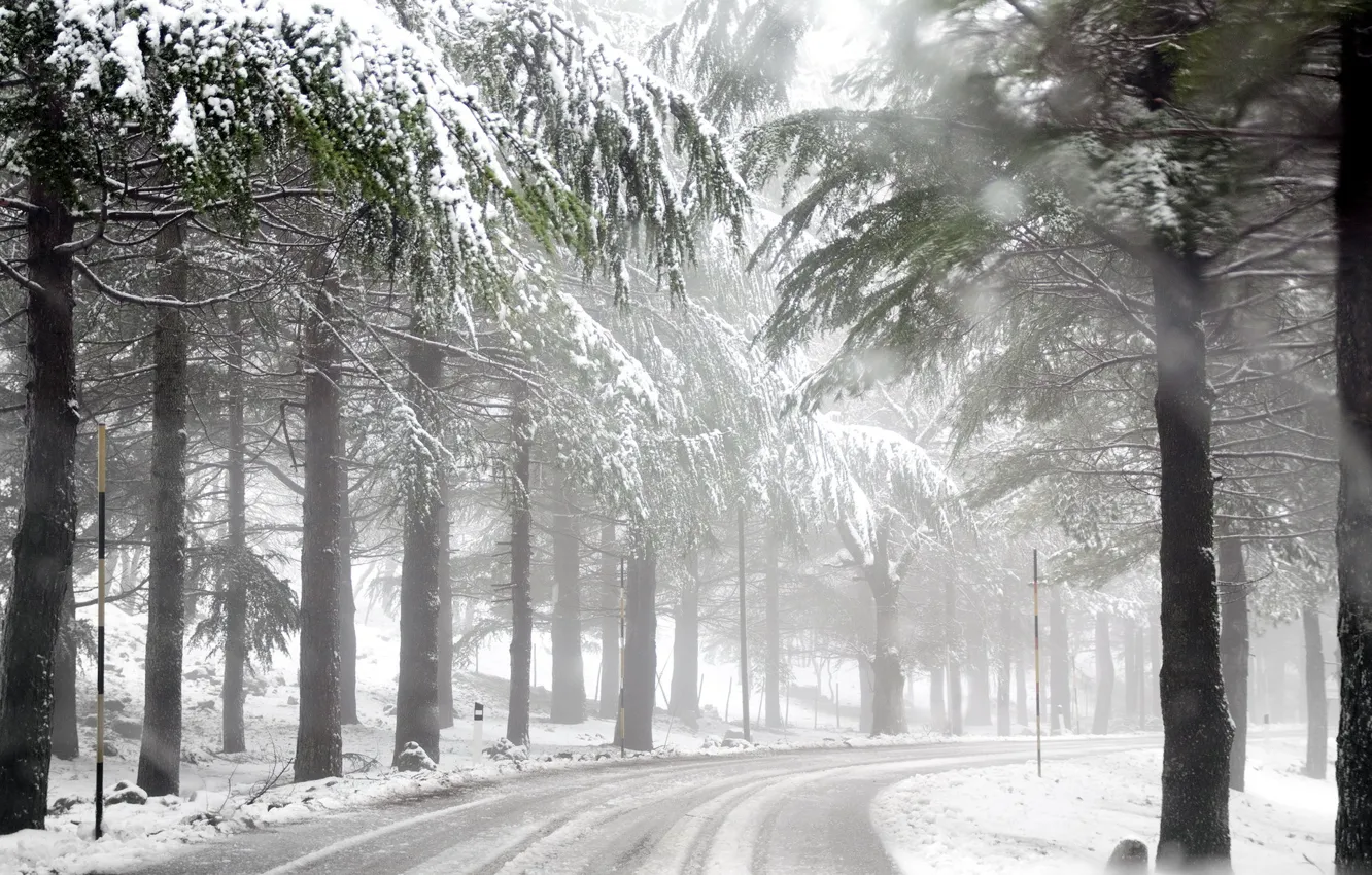 Photo wallpaper winter, road, forest, fog